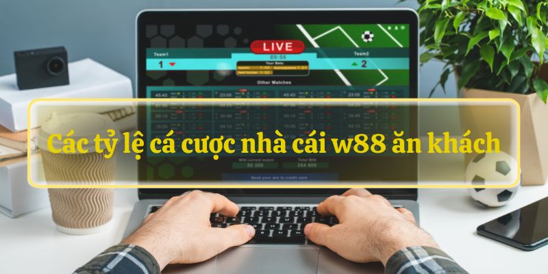 Các tỷ lệ cá cược nhà cái w88 ăn khách