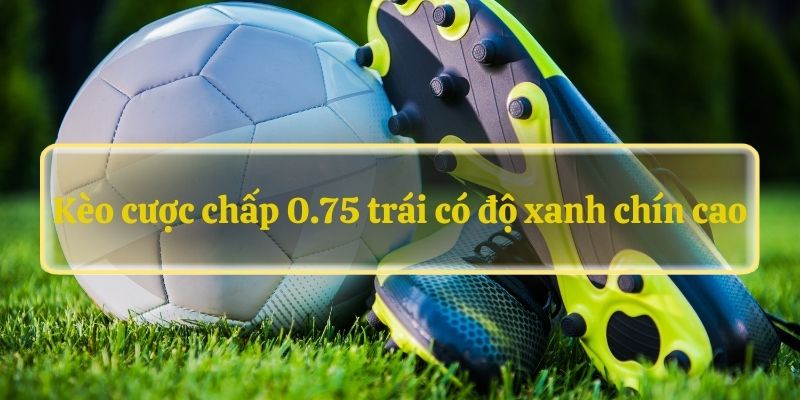 Kèo cược chấp 0.75 trái có độ xanh chín cao